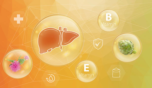 Sustainability & Innovation